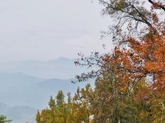 -广州市石门国家森林公园