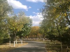 -永定河休闲森林公园