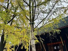 -古大圣慈寺