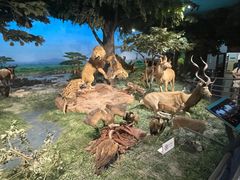 -国家自然博物馆