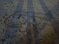 -青岛石老人海水浴场
