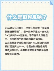 -香榭丽舍·海菲秀·皮肤管理痘敏肌修护