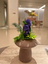 -依霖·艺术·SPA