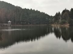 -四明山国家森林公园