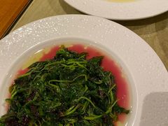 -苏州湾王焰温泉度假酒店