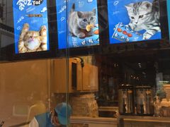 -开心猫(太平街店)
