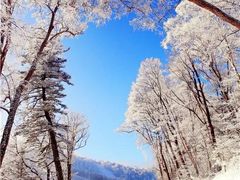 -零度滑雪室内训练中心(莘庄店)