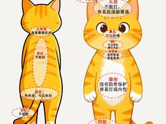 -暖阳宠物医院·犬猫康复中心·骨科