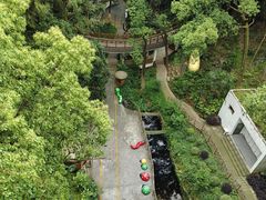 -南山植物园