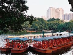 -荔湾湖公园