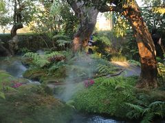 -Chom Cafe and Restaurant