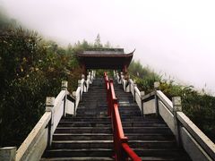 -武陵山森林公园