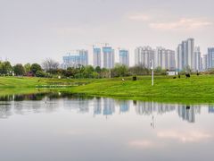 -洋湖国家湿地公园