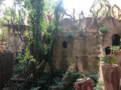 -天门沟九州驿站树上汤泉