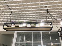 -董小西的凉皮和椒麻鸡(三元桥店)