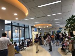 -上海交通大学医学院附属上海儿童医学中心(陆家嘴总院区)