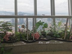-狐尾山公园