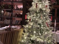 -一棵树·意大利西餐厅One Tree(新城店)