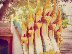 -西双版纳勐泐文化旅游区