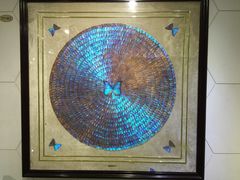 上海昆虫博物馆-上海昆虫博物馆