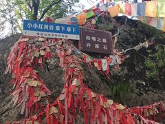 -陕西省红河谷森林公园