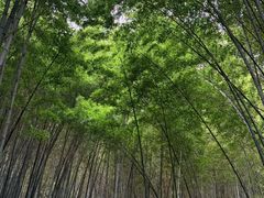 -敬亭山风景名胜区