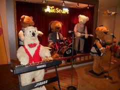 -济州岛泰迪熊博物馆