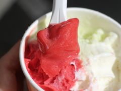 -Dip in Gelato(富民路店)