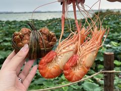 -七的湖·晚芳亭·阳澄湖农家菜·大闸蟹(莲花岛店)