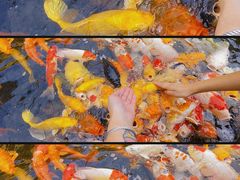 -下海庙
