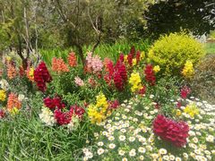 -上海共青森林公园