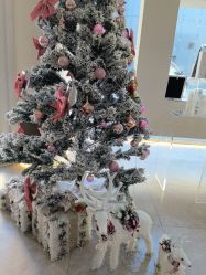 -VE专注问题肌·赛诺龙&科学美肤中心