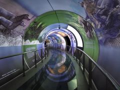 -房山世界地质公园博物馆