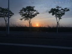 -南汇嘴观海公园