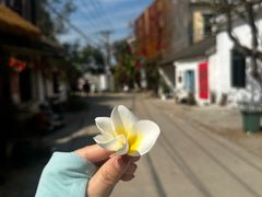 -15年老字号鑫鑫猪肚鸡·椰子鸡海南火锅(兴隆华侨农场店)