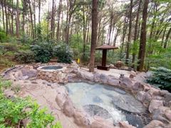 -金方森林温泉