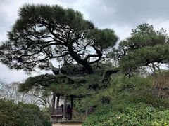 -西湖外事游船(花港观鱼码头)