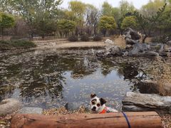 -中关村生命科学园