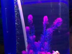-梦幻海洋王国(吾悦广场张家港店)