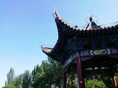 -金城公园