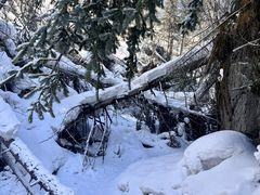 -峡谷浮石林景区