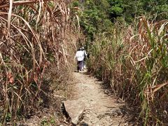 -梧桐山风景名胜区