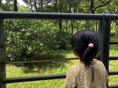 -绍兴鉴湖君澜大酒店