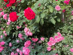 -北京西山国家森林公园