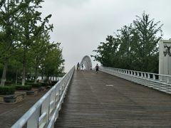 -大兴滨河森林公园