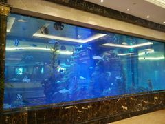 -碧桂园凤凰城酒店(南京店)