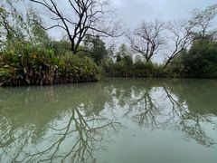 -西溪国家湿地公园