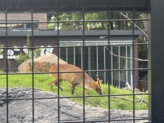 -武汉动物园
