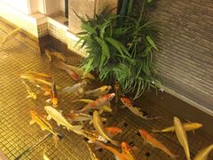 -银帆宾馆-自助餐厅(金马路店)