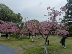 -范蠡湖公园